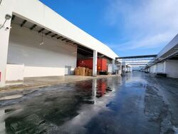 North Spring Bizhub (D27), Factory #555569051